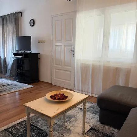 Tara 贝尔格莱德