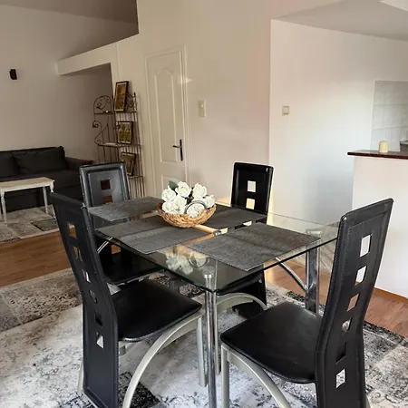 Tara 贝尔格莱德