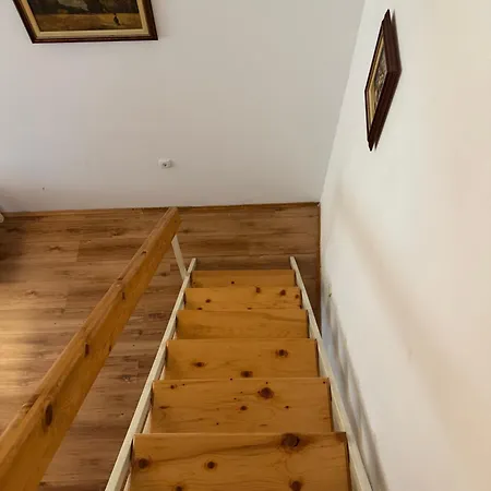 公寓 Tara 贝尔格莱德