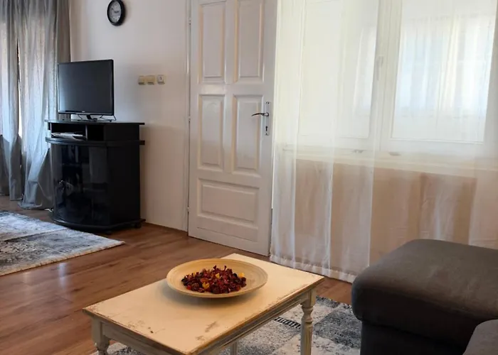 Tara 贝尔格莱德