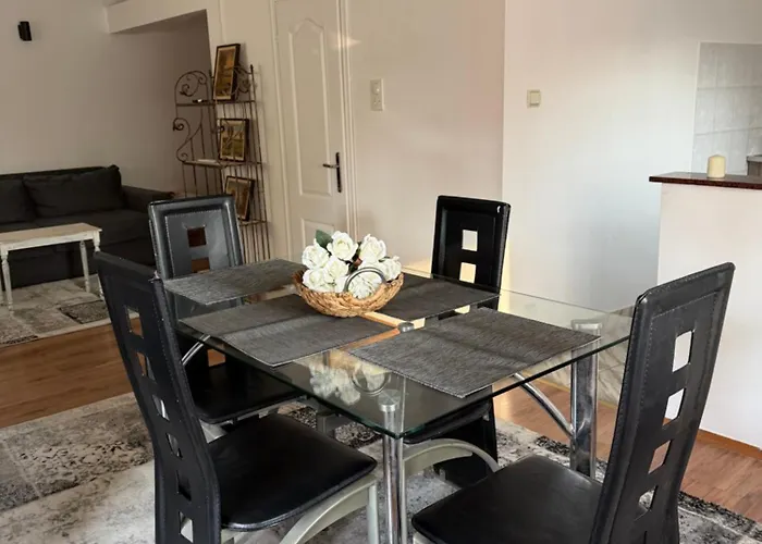 Tara 贝尔格莱德